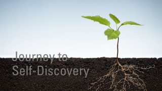 An image of a new plant shooting into life with the roots below the surface if the soil representing how personality reflects the roots of our personal growth